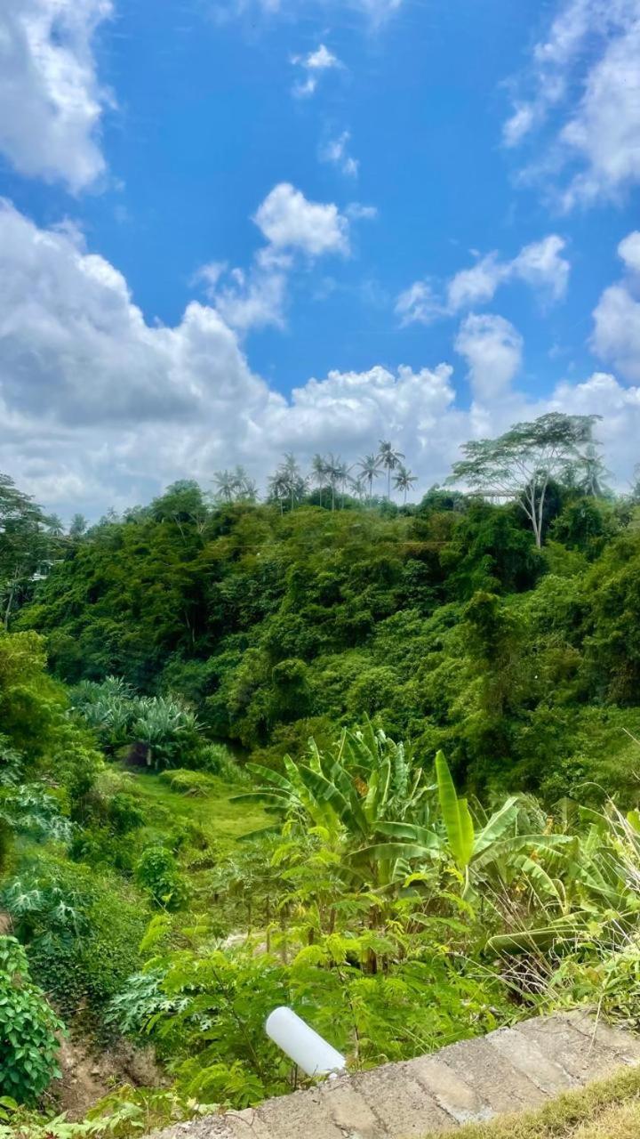 Hotel Solana Wellness Retreat Ubud Zewnętrze zdjęcie